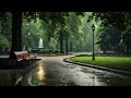 The sound of 8 hours of rain will help you quickly fall asleep. Rain falls in a quiet park