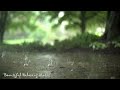 Peaceful Piano and Rain Sounds for Relaxation, Studying, Yoga, and Sleep