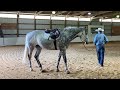 Horse Constantly Kicks Out!