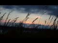 RELAXING GRASSLAND TIME LAPSE ***HELPS WITH ANXIETY***