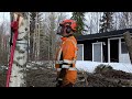Felling a Tall Tree In  Strong Side Wind - Dangerous Job With Husqvarna 550 XP G Chainsaw