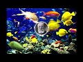 Aquarium - Camille Saint Saënes