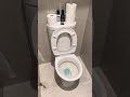 $20 Tool Unblock toilet 👍🏼👍🏼👍🏼👋👋👋