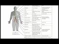 USMLE || Read With Me || First Aid - Immunology
