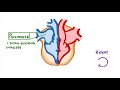 GCSE Biology - The Heart  #23