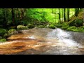 Relaxing Sounds of Water Stream 60mins (The Sounds of Nature)
