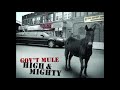 Endless Parade - Gov't Mule