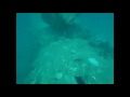 B24 Flying Fortress Wreck Dive