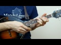 Developing a Practice Routine- Mandolin Lesson