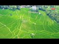 keindahan di desa cipanas Lebak Banten di liat dari  ketinggian camera drone 🌻 drone 2024 🌿
