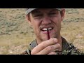 UNBELIEVABLE spot and stalk bow hunt for antelope (Eastmans’ Hunting TV)