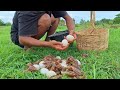 wow unique! A farmer walks through a field and finds eggs in a haystack