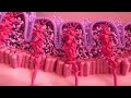 Menstrual Cycle Basics | 3D animation (1/2)