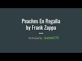 Peaches En Regalia by Frank Zappa - Performed by AstroG73 (recorded without an audience w Logic pro)