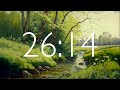 40 Minute Timer with Relaxing Music and Alarm