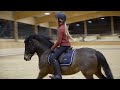 AFTER SCHOOL RIDING ROUTINE - DRESSAGE TRAINING