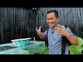Tetra Fish Breeding at Home in an Easy Way using a 100-gallon Aquarium!