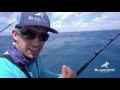 Fishing for Dinner Fish in Miami - 4K