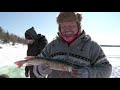 Gill Net Fishing in Nisichawayasihk Cree Nation
