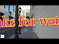 4K Walking and Street Sound - Tampa City  - March 2024