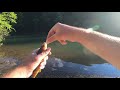 RattleSnake Surprise!! While Bank Fishing Ocoee River