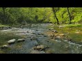 4K Relaxing River - Ultra HD Nature Video -  Water Stream & Birdsong Sounds - Sleep/Study/Meditate
