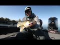 Best LIVESCOPE Settings for Sharp Shooting Walleyes!!