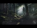 You're Wandering a Medieval Forest [3 Hour Fantasy Music Playlist]