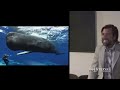 Sperm Whales Clicking You Inside Out — James Nestor at The Interval