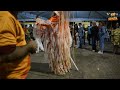 ENCONTRO DE FOLIA DE REIS EM CARDOSO MOREIRA Rj. 2023