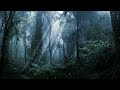 ✨🌙 Enchanted Dark Forest Ambience✨ with streaming river and night sounds