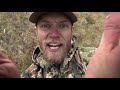 SCREAMING bulls IN YOUR FACE! Bow hunting Elk in the backcountry with Grizzlies