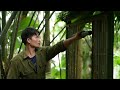 5 Days Survival alone Build a Shelter in a tree,Bamboo house |Episode 3